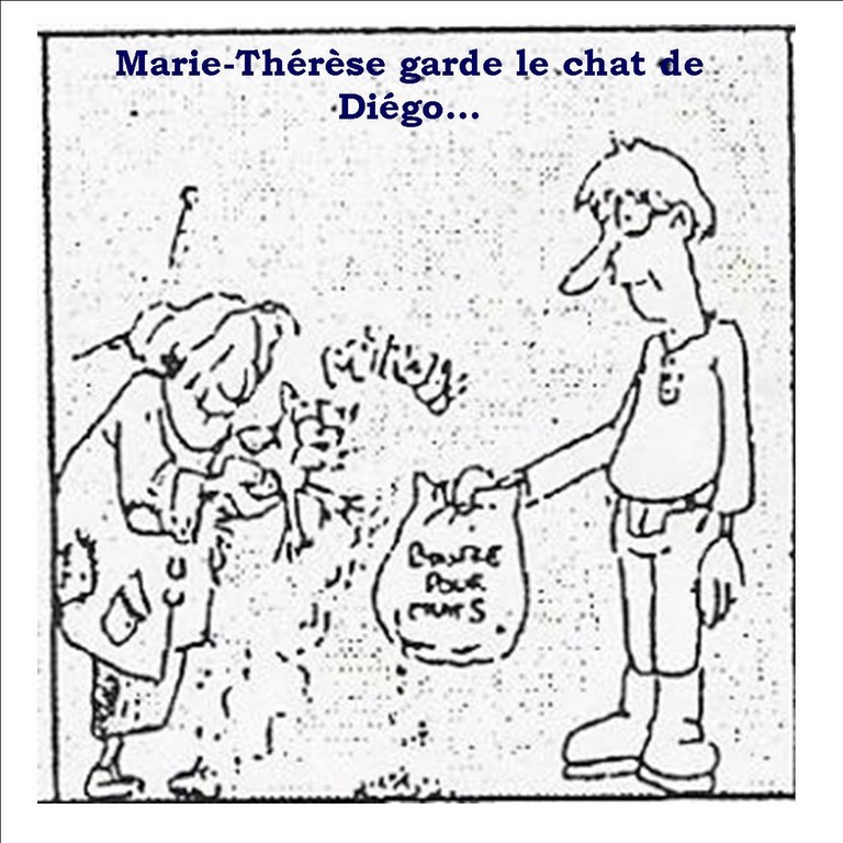 SEL par l'illustration